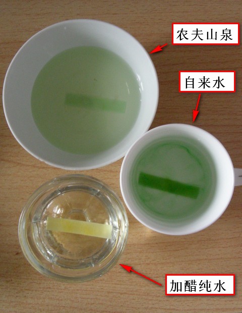 水的酸碱度测试