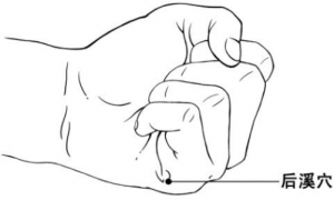 后溪穴